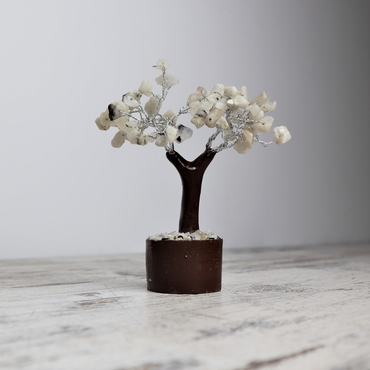 Rainbow Moonstone Mini Crystal Tree | Intuition, New Beginnings &amp; Gentle Protection