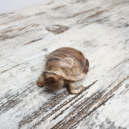 Petrified Wood Turtle (529g)