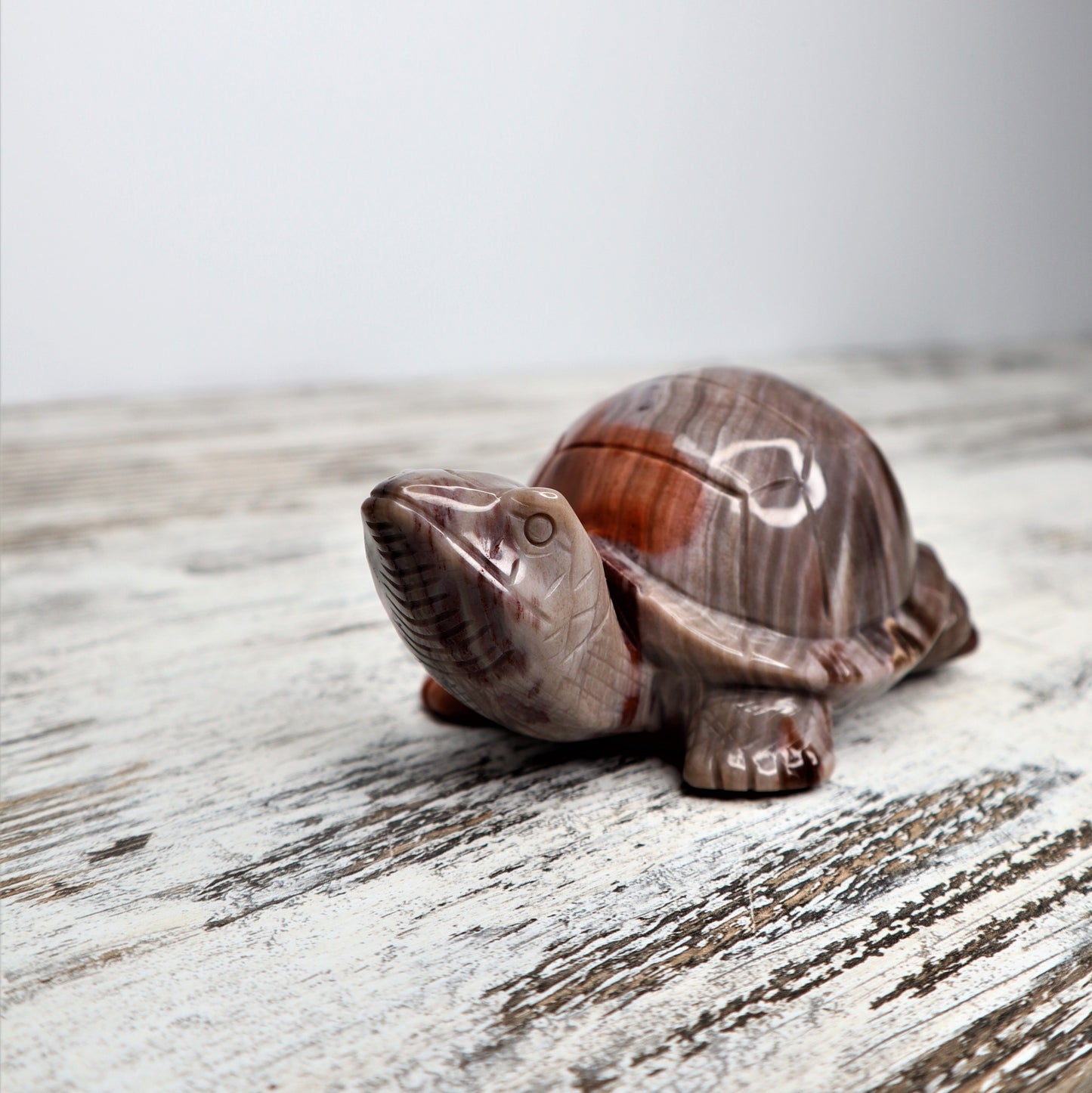 Petrified Wood Turtle (535g)