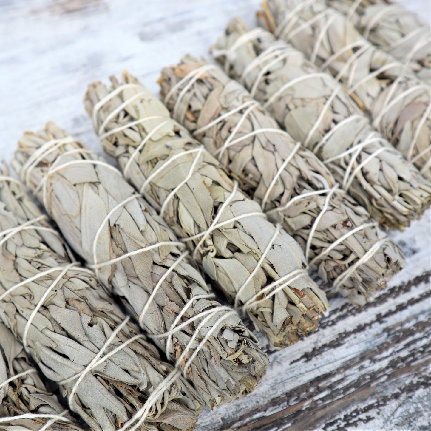 White Sage Cleansing Wand | Medium | 15cm | Purification & Energy Clearing