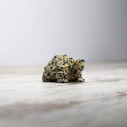 Dalmatian Jasper Tortoise Carving | Intuitively Chosen | Grounding, Protection & Patience