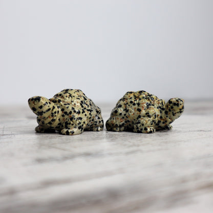 Dalmatian Jasper Tortoise Carving | Intuitively Chosen | Grounding, Protection & Patience