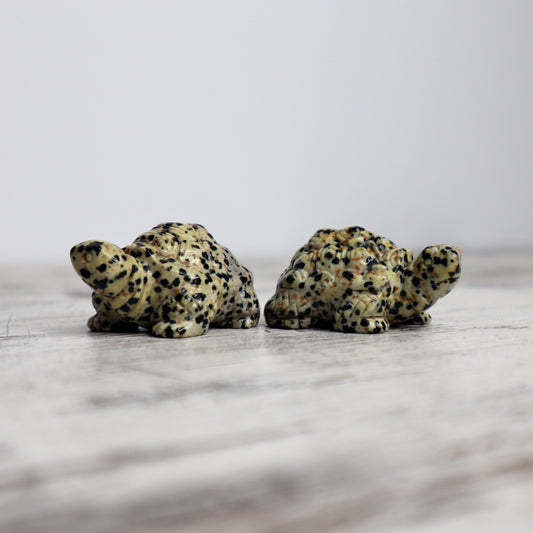 Dalmatian Jasper Tortoise Carving | Intuitively Chosen | Grounding, Protection & Patience