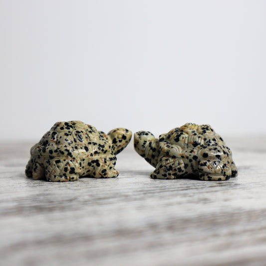 Dalmatian Jasper Tortoise Carving | Intuitively Chosen | Grounding, Protection & Patience
