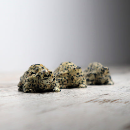 Dalmatian Jasper Tortoise Carving | Intuitively Chosen | Grounding, Protection & Patience