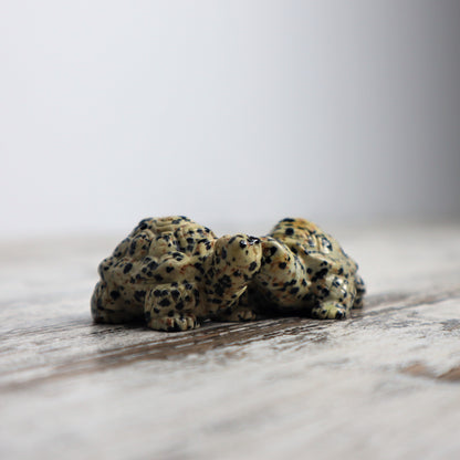 Dalmatian Jasper Tortoise Carving | Intuitively Chosen | Grounding, Protection & Patience